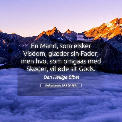 Picture 05 - Ordsprogene 29:3 DA1871 - En Mand, som elsker Visdom, glæder sin Fader; - Bible Verse Picture