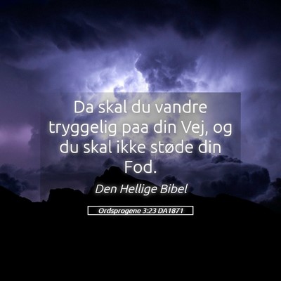 Picture 05 - Ordsprogene 3:23 DA1871 - Da skal du vandre tryggelig paa din Vej, og du - Bible Verse Picture