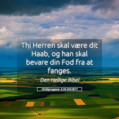 Picture 05 - Ordsprogene 3:26 DA1871 - Thi Herren skal være dit Haab, og han skal - Bible Verse Picture
