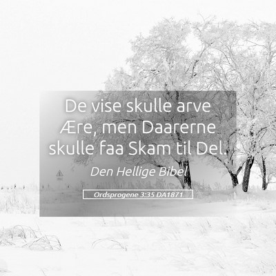 Picture 05 - Ordsprogene 3:35 DA1871 - De vise skulle arve Ære, men Daarerne skulle faa - Bible Verse Picture