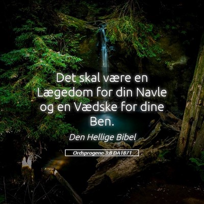 Picture 05 - Ordsprogene 3:8 DA1871 - Det skal være en Lægedom for din Navle og en - Bible Verse Picture