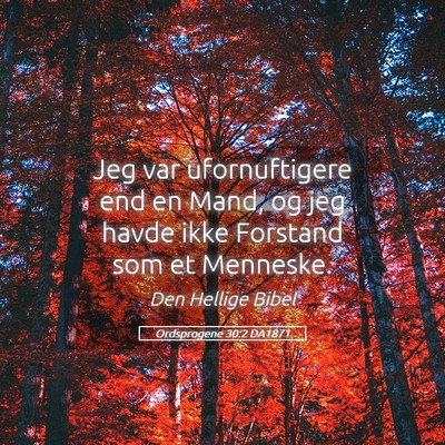 Picture 05 - Ordsprogene 30:2 DA1871 - Jeg var ufornuftigere end en Mand, og jeg havde - Bible Verse Picture