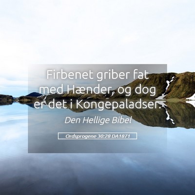 Picture 05 - Ordsprogene 30:28 DA1871 - Firbenet griber fat med Hænder, og dog er det i - Bible Verse Picture