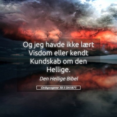 Picture 05 - Ordsprogene 30:3 DA1871 - Og jeg havde ikke lært Visdom eller kendt - Bible Verse Picture