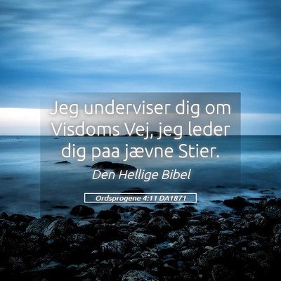 Picture 05 - Ordsprogene 4:11 DA1871 - Jeg underviser dig om Visdoms Vej, jeg leder dig - Bible Verse Picture