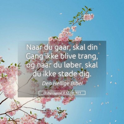 Picture 05 - Ordsprogene 4:12 DA1871 - Naar du gaar, skal din Gang ikke blive trang, og - Bible Verse Picture