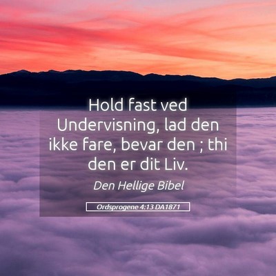 Picture 05 - Ordsprogene 4:13 DA1871 - Hold fast ved Undervisning, lad den ikke fare, - Bible Verse Picture