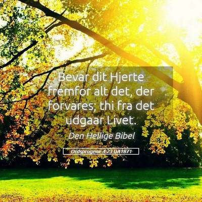 Picture 05 - Ordsprogene 4:23 DA1871 - Bevar dit Hjerte fremfor alt det, der forvares; - Bible Verse Picture