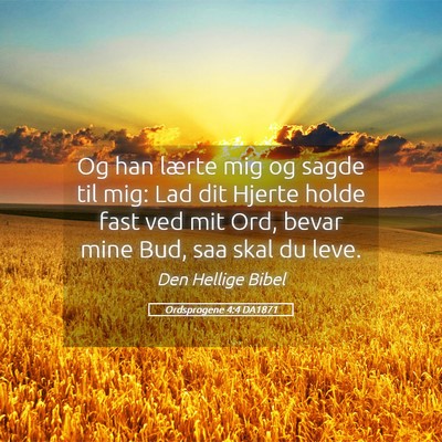 Picture 05 - Ordsprogene 4:4 DA1871 - Og han lærte mig og sagde til mig: Lad dit - Bible Verse Picture