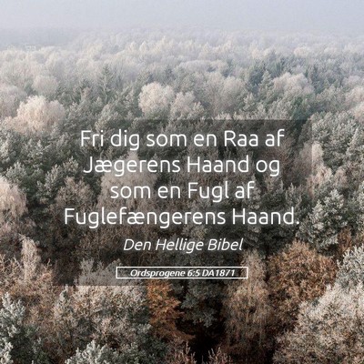 Picture 05 - Ordsprogene 6:5 DA1871 - Fri dig som en Raa af Jægerens Haand og som en - Bible Verse Picture