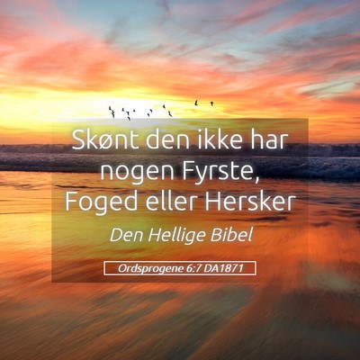Picture 05 - Ordsprogene 6:7 DA1871 - Skønt den ikke har nogen Fyrste, Foged eller - Bible Verse Picture