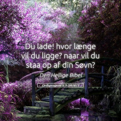 Picture 05 - Ordsprogene 6:9 DA1871 - Du lade! hvor længe vil du ligge? naar vil du - Bible Verse Picture