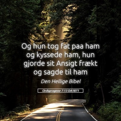 Picture 05 - Ordsprogene 7:13 DA1871 - Og hun tog fat paa ham og kyssede ham, hun gjorde - Bible Verse Picture