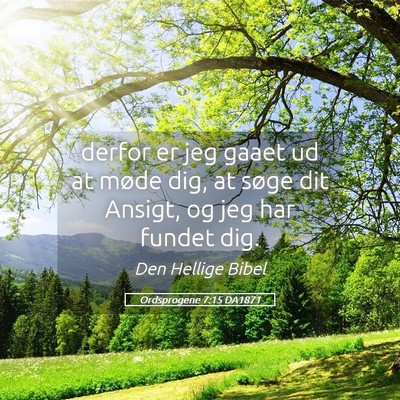 Picture 05 - Ordsprogene 7:15 DA1871 - derfor er jeg gaaet ud at møde dig, at søge dit - Bible Verse Picture