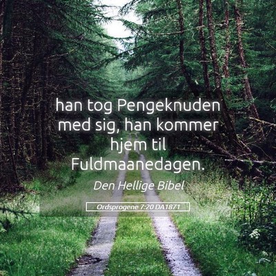 Picture 05 - Ordsprogene 7:20 DA1871 - han tog Pengeknuden med sig, han kommer hjem til - Bible Verse Picture