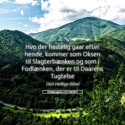 Picture 05 - Ordsprogene 7:22 DA1871 - Hvo der hastelig gaar efter hende, kommer som - Bible Verse Picture