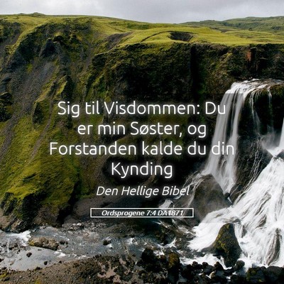 Picture 05 - Ordsprogene 7:4 DA1871 - Sig til Visdommen: Du er min Søster, og - Bible Verse Picture