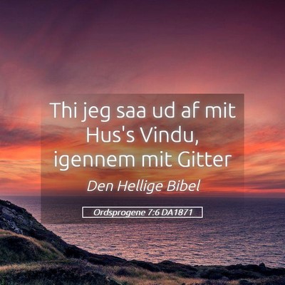 Picture 05 - Ordsprogene 7:6 DA1871 - Thi jeg saa ud af mit Hus's Vindu, igennem mit - Bible Verse Picture
