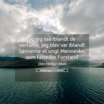 Picture 05 - Ordsprogene 7:7 DA1871 - og jeg saa iblandt de uerfarne, jeg blev var - Bible Verse Picture