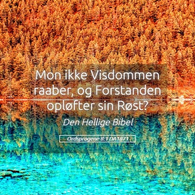 Picture 05 - Ordsprogene 8:1 DA1871 - Mon ikke Visdommen raaber, og Forstanden - Bible Verse Picture
