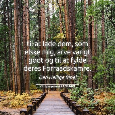 Picture 05 - Ordsprogene 8:21 DA1871 - til at lade dem, som elske mig, arve varigt godt - Bible Verse Picture