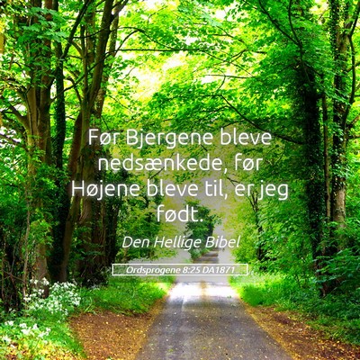 Picture 05 - Ordsprogene 8:25 DA1871 - Før Bjergene bleve nedsænkede, før Højene - Bible Verse Picture
