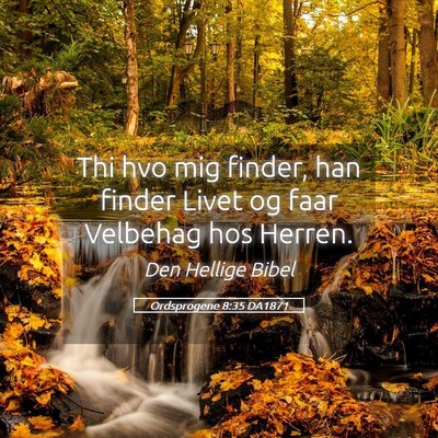 Picture 05 - Ordsprogene 8:35 DA1871 - Thi hvo mig finder, han finder Livet og faar - Bible Verse Picture