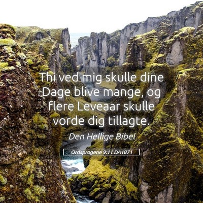 Picture 05 - Ordsprogene 9:11 DA1871 - Thi ved mig skulle dine Dage blive mange, og - Bible Verse Picture
