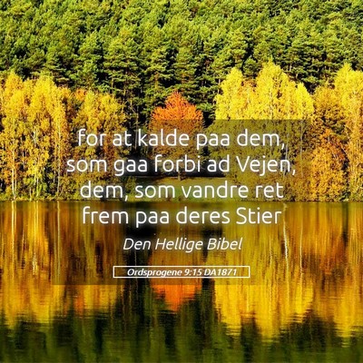 Picture 05 - Ordsprogene 9:15 DA1871 - for at kalde paa dem, som gaa forbi ad Vejen, - Bible Verse Picture