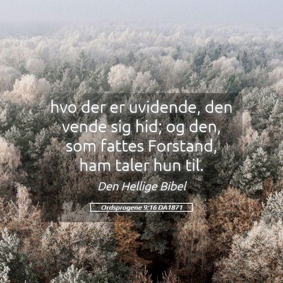 Picture 05 - Ordsprogene 9:16 DA1871 - hvo der er uvidende, den vende sig hid; og den, - Bible Verse Picture