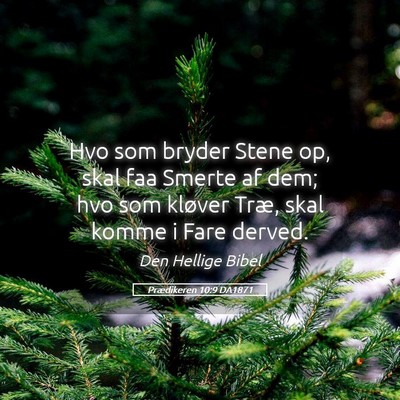Picture 05 - Prædikeren 10:9 DA1871 - Hvo som bryder Stene op, skal faa Smerte af dem; - Bible Verse Picture