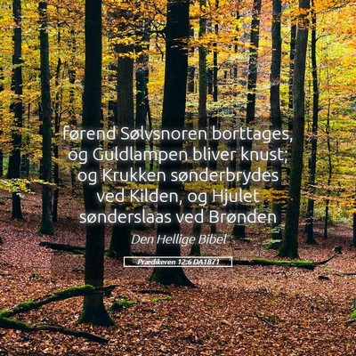 Picture 05 - Prædikeren 12:6 DA1871 - førend Sølvsnoren borttages, og Guldlampen - Bible Verse Picture