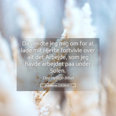 Picture 05 - Prædikeren 2:20 DA1871 - Da vendte jeg mig om for at lade mit Hjerte - Bible Verse Picture
