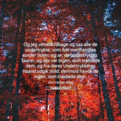 Picture 05 - Prædikeren 4:1 DA1871 - Og jeg vendte tilbage og saa alle de undertrykte, - Bible Verse Picture