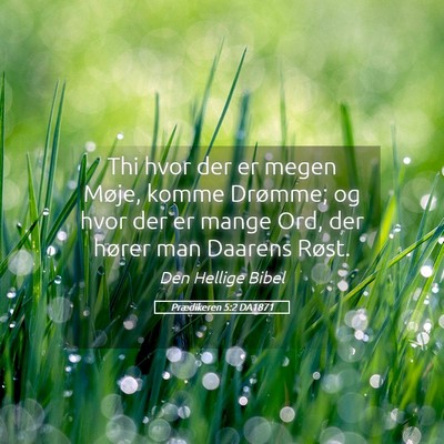 Picture 05 - Prædikeren 5:2 DA1871 - Thi hvor der er megen Møje, komme Drømme; og - Bible Verse Picture