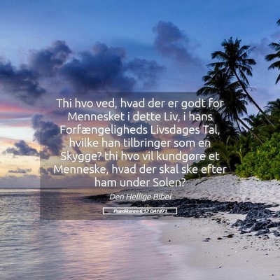 Picture 05 - Prædikeren 6:12 DA1871 - Thi hvo ved, hvad der er godt for Mennesket i - Bible Verse Picture