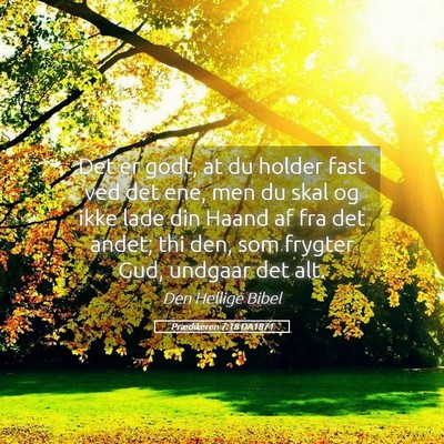 Picture 05 - Prædikeren 7:18 DA1871 - Det er godt, at du holder fast ved det ene, men - Bible Verse Picture