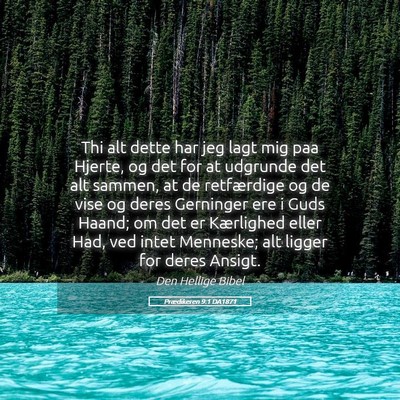 Picture 05 - Prædikeren 9:1 DA1871 - Thi alt dette har jeg lagt mig paa Hjerte, og det - Bible Verse Picture