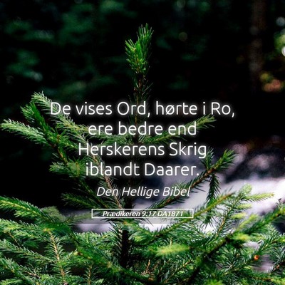 Picture 05 - Prædikeren 9:17 DA1871 - De vises Ord, hørte i Ro, ere bedre end - Bible Verse Picture