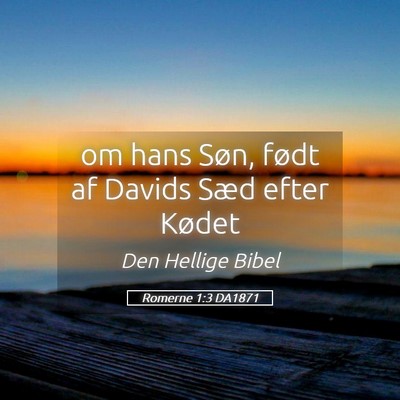 Picture 05 - Romerne 1:3 DA1871 - om hans Søn, født af Davids Sæd efter - Bible Verse Picture
