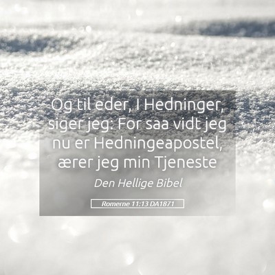 Picture 05 - Romerne 11:13 DA1871 - Og til eder, I Hedninger, siger jeg: For saa vidt - Bible Verse Picture