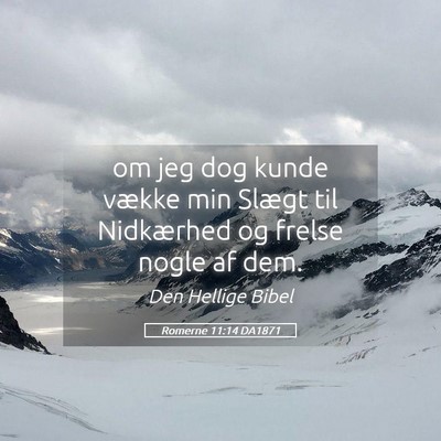 Picture 05 - Romerne 11:14 DA1871 - om jeg dog kunde vække min Slægt til Nidkærhed - Bible Verse Picture