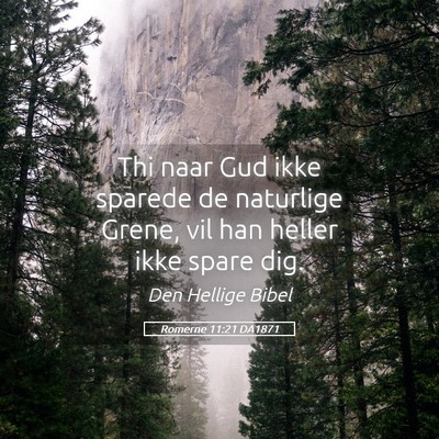 Picture 05 - Romerne 11:21 DA1871 - Thi naar Gud ikke sparede de naturlige Grene, vil - Bible Verse Picture