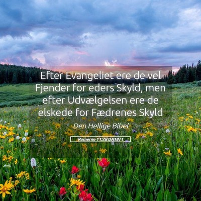 Picture 05 - Romerne 11:28 DA1871 - Efter Evangeliet ere de vel Fjender for eders - Bible Verse Picture