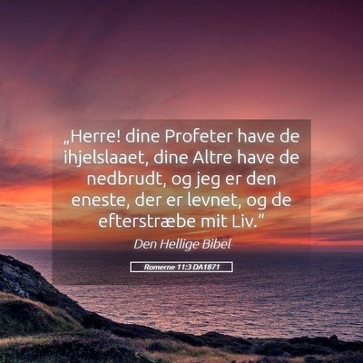 Picture 05 - Romerne 11:3 DA1871 - „Herre! dine Profeter have de ihjelslaaet, dine - Bible Verse Picture