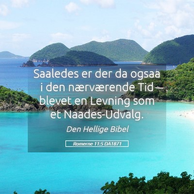 Picture 05 - Romerne 11:5 DA1871 - Saaledes er der da ogsaa i den nærværende Tid - Bible Verse Picture