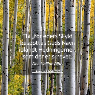 Picture 05 - Romerne 2:24 DA1871 - Thi „for eders Skyld bespottes Guds Navn - Bible Verse Picture