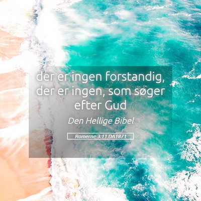 Picture 05 - Romerne 3:11 DA1871 - der er ingen forstandig, der er ingen, som søger - Bible Verse Picture