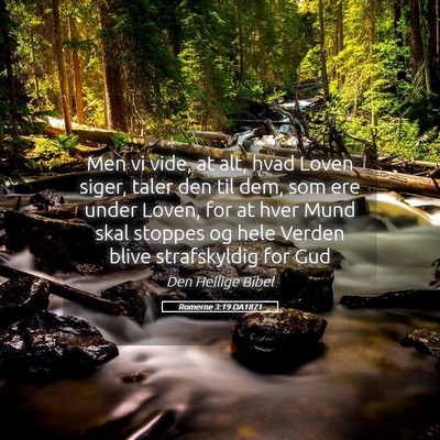 Picture 05 - Romerne 3:19 DA1871 - Men vi vide, at alt, hvad Loven siger, taler den - Bible Verse Picture