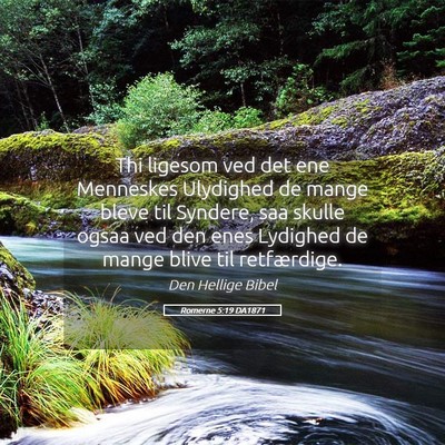 Picture 05 - Romerne 5:19 DA1871 - Thi ligesom ved det ene Menneskes Ulydighed de - Bible Verse Picture